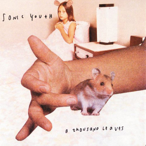 the album cover for Sonic Youth - A Thousand Leaves [Import Vinyl]