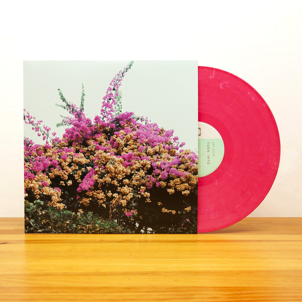 the album cover for Jay Som - Turn Into [Vinyl]