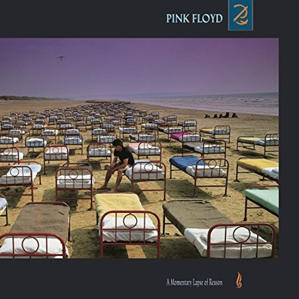 the album cover for Pink Floyd - A Momentary Lapse of Reason [Vinyl]