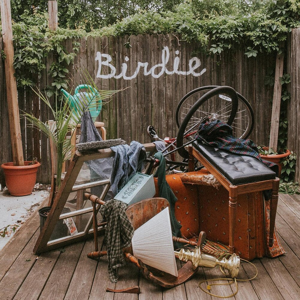 the album cover for Slaughter Beach, Dog - Birdie [LP]