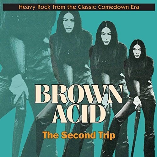 the album cover for Brown Acid Second Trip / Various - Brown Acid: Second Trip / Various