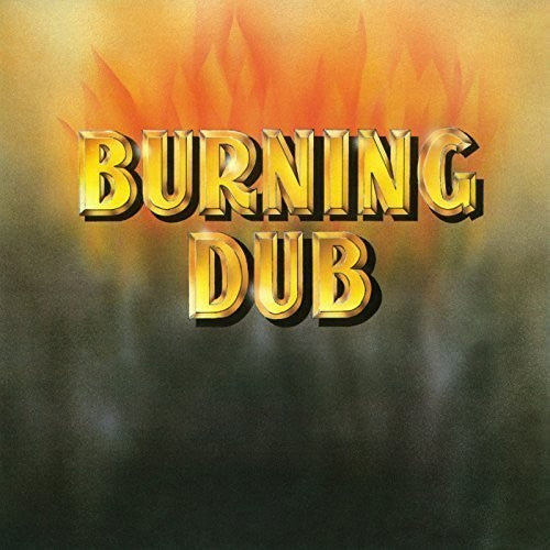 the album cover for Revolutionaires - Burning Dub