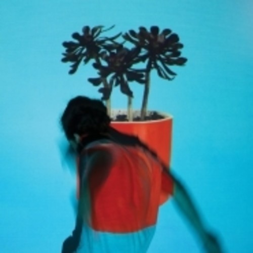 the album cover for Local Natives - Sunlit Youth [LP]
