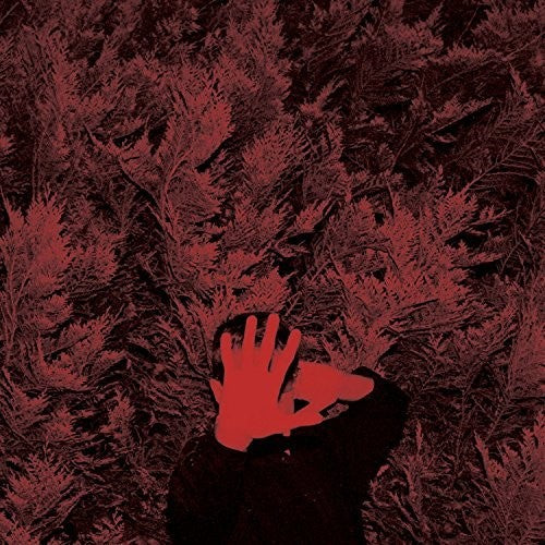 the album cover for Cory Hanson - The Unborn Capitalist From Limbo [Vinyl]