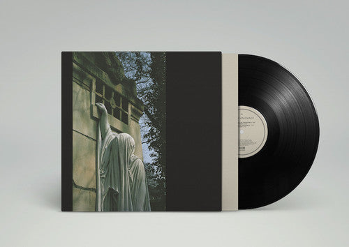 the album cover for Dead Can Dance - Within The Realm Of A Dying Sun [Vinyl]