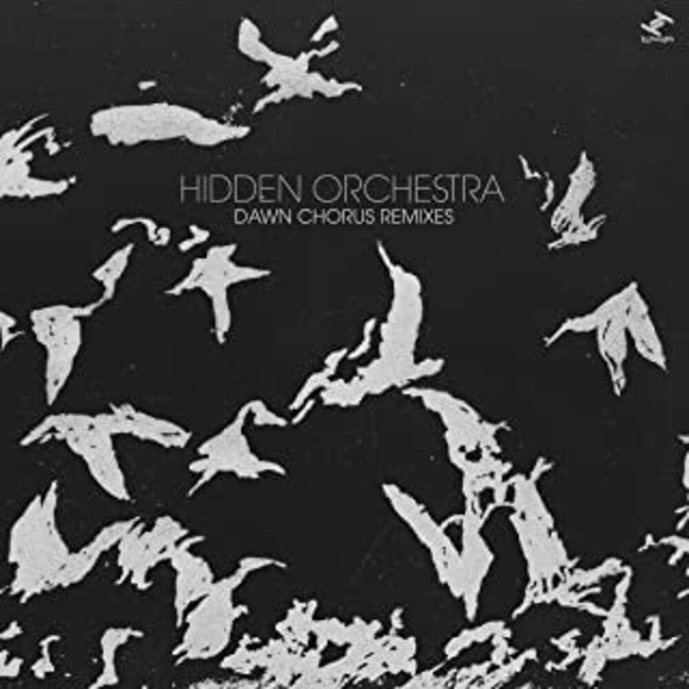 the album cover for Hidden Orchestra - Dawn Chorus