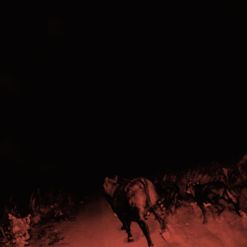 the album cover for Bambara - Shadow On Everything [LP]