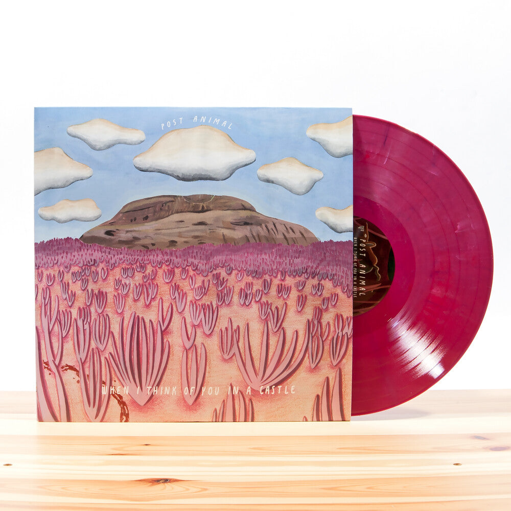 the album cover for Post Animal - When I Think Of You In A Castle [LP]