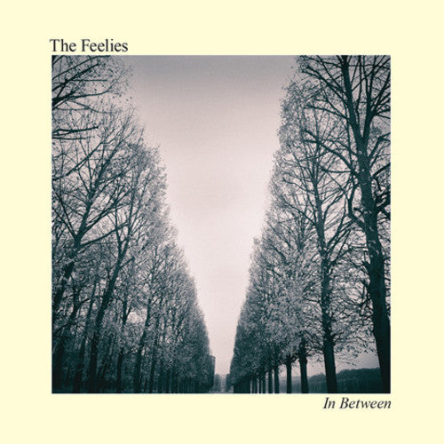 the album cover for The Feelies - In Between [Vinyl]