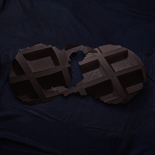 the album cover for Dirty Projectors - Dirty Projectors [Vinyl]