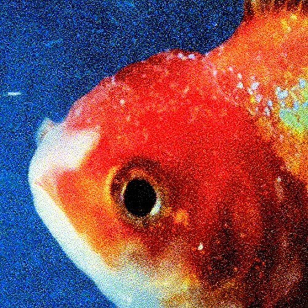 the album cover for Vince Staples - Big Fish Theory