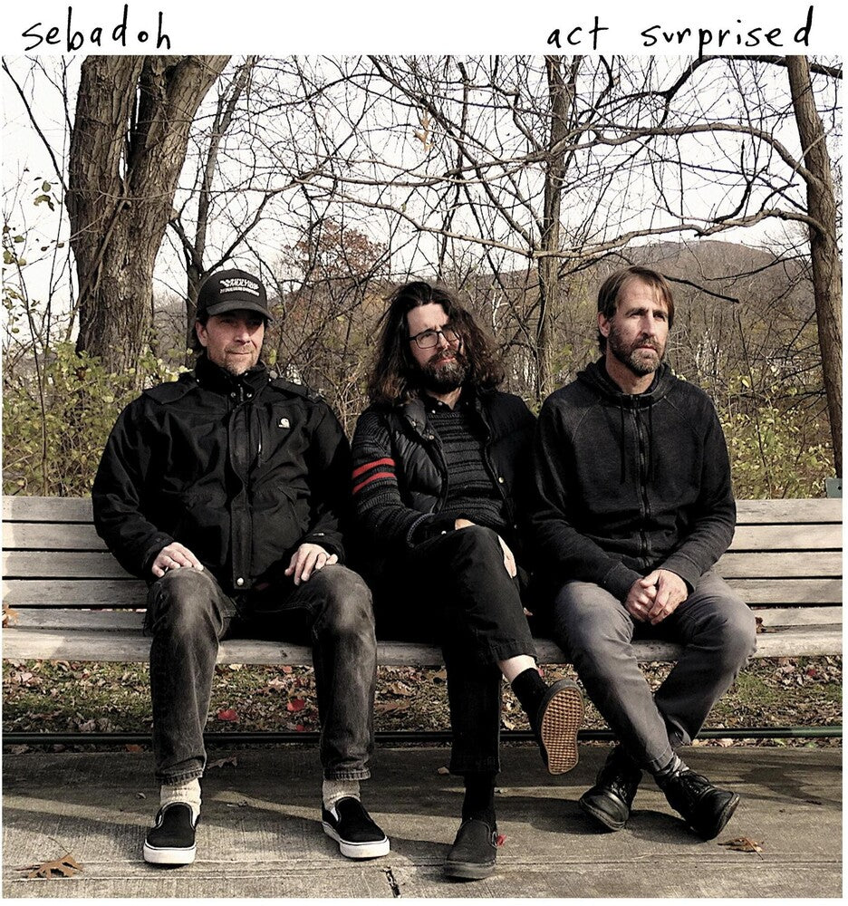 the album cover for Sebadoh - Act Surprised [LP]