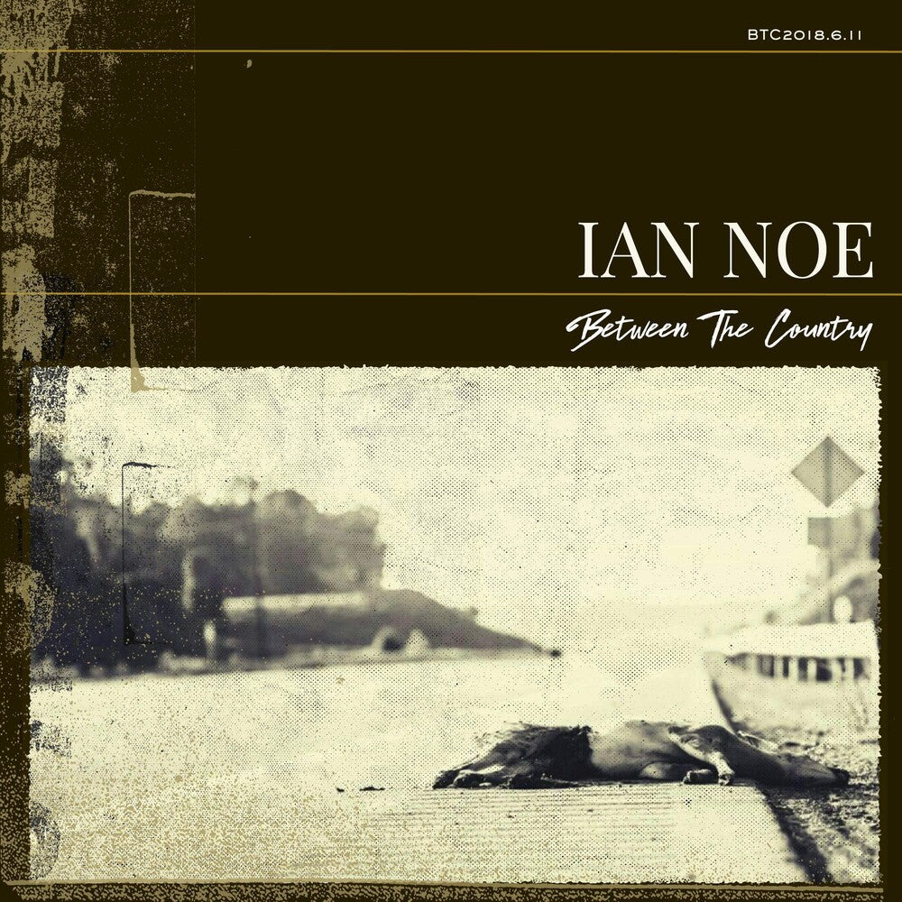 the album cover for Ian Noe - Between The Country [LP]