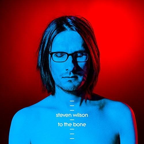the album cover for Steven Wilson - To The Bone [2LP]