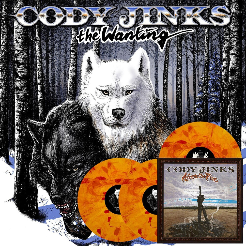 the album cover for Cody Jinks - Wanting After The Fire