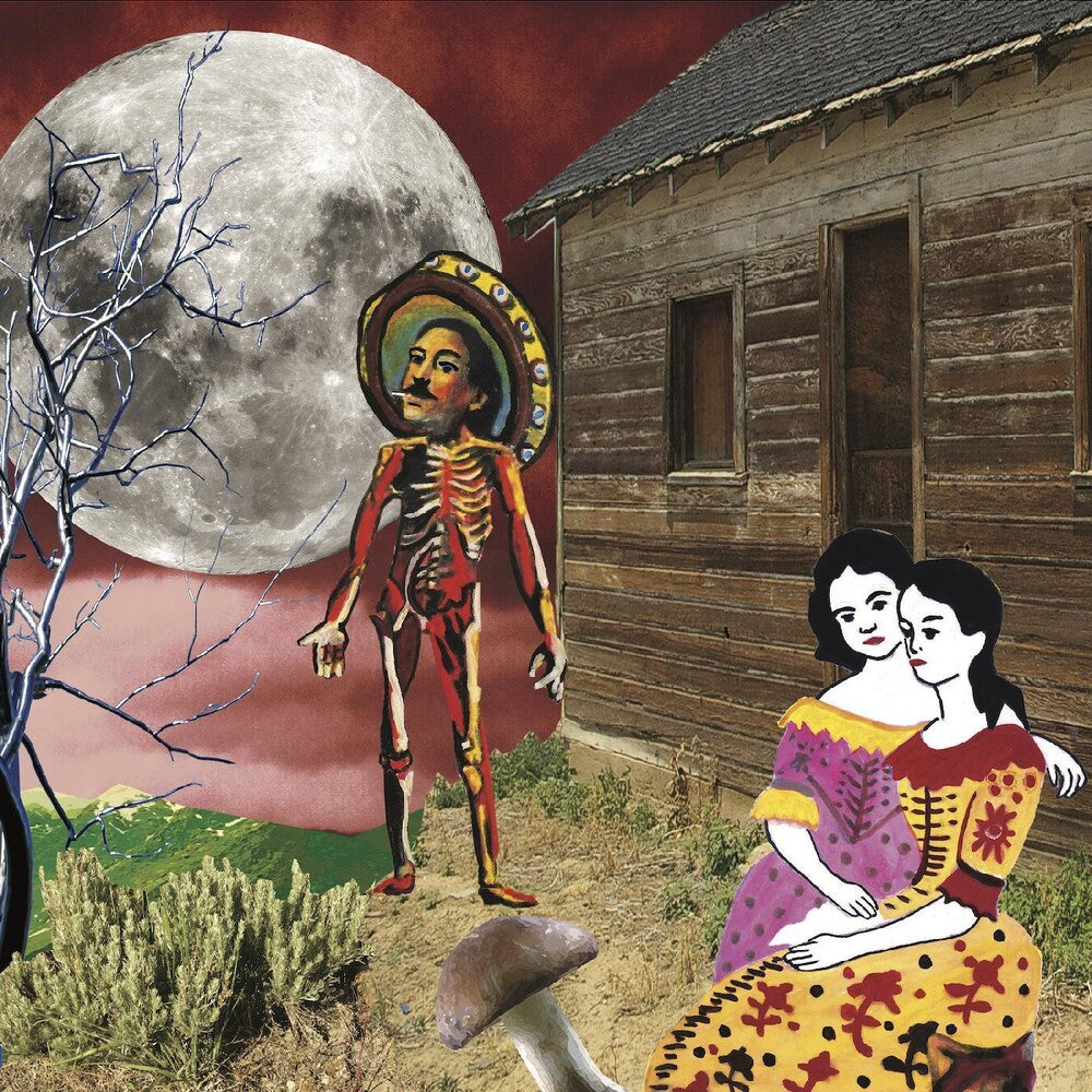 the album cover for Silkworm - In The West [Limited Edition 2LP]