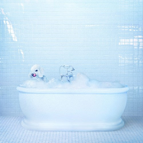 the album cover for Frankie Cosmos - Vessel [LP]