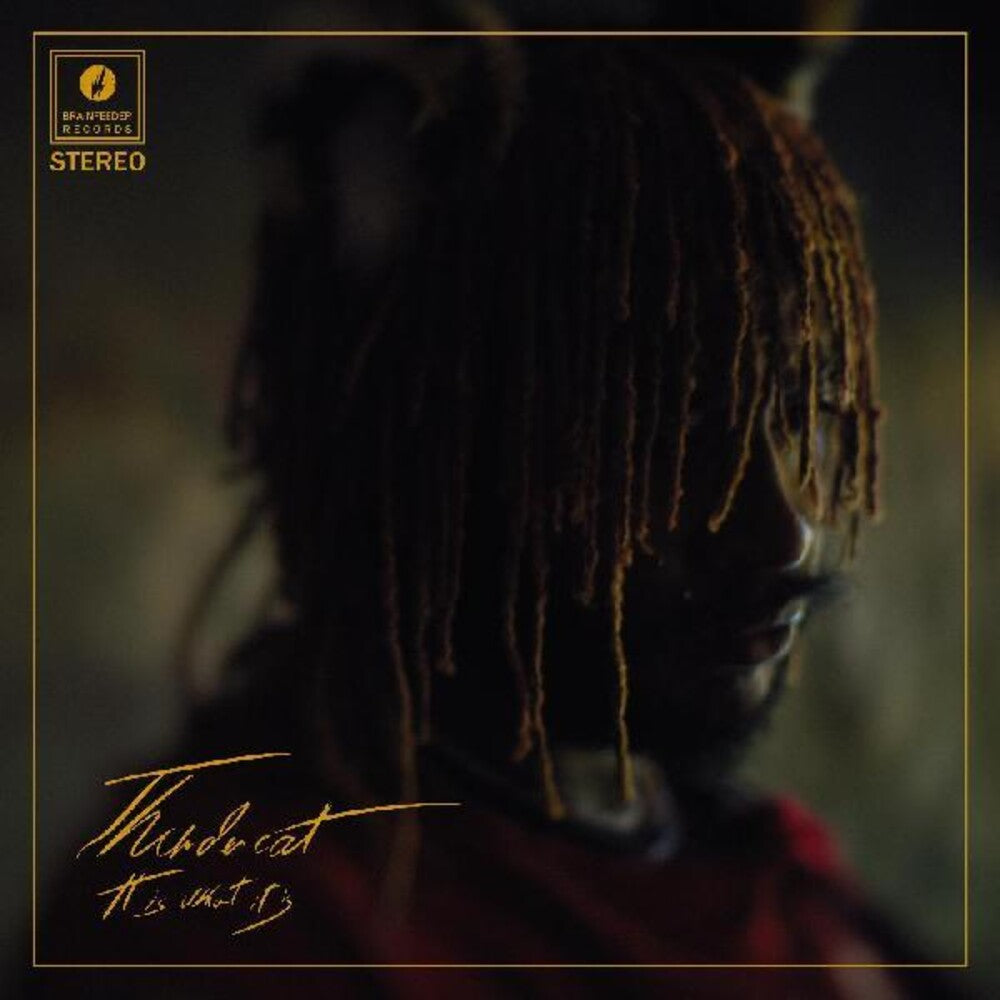 the album cover for Thundercat - It Is What It Is [Red LP]