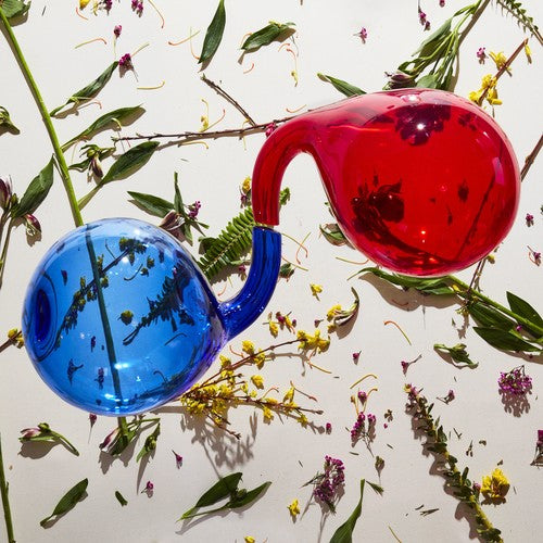 the album cover for Dirty Projectors - Lamp Lit Prose [LP]