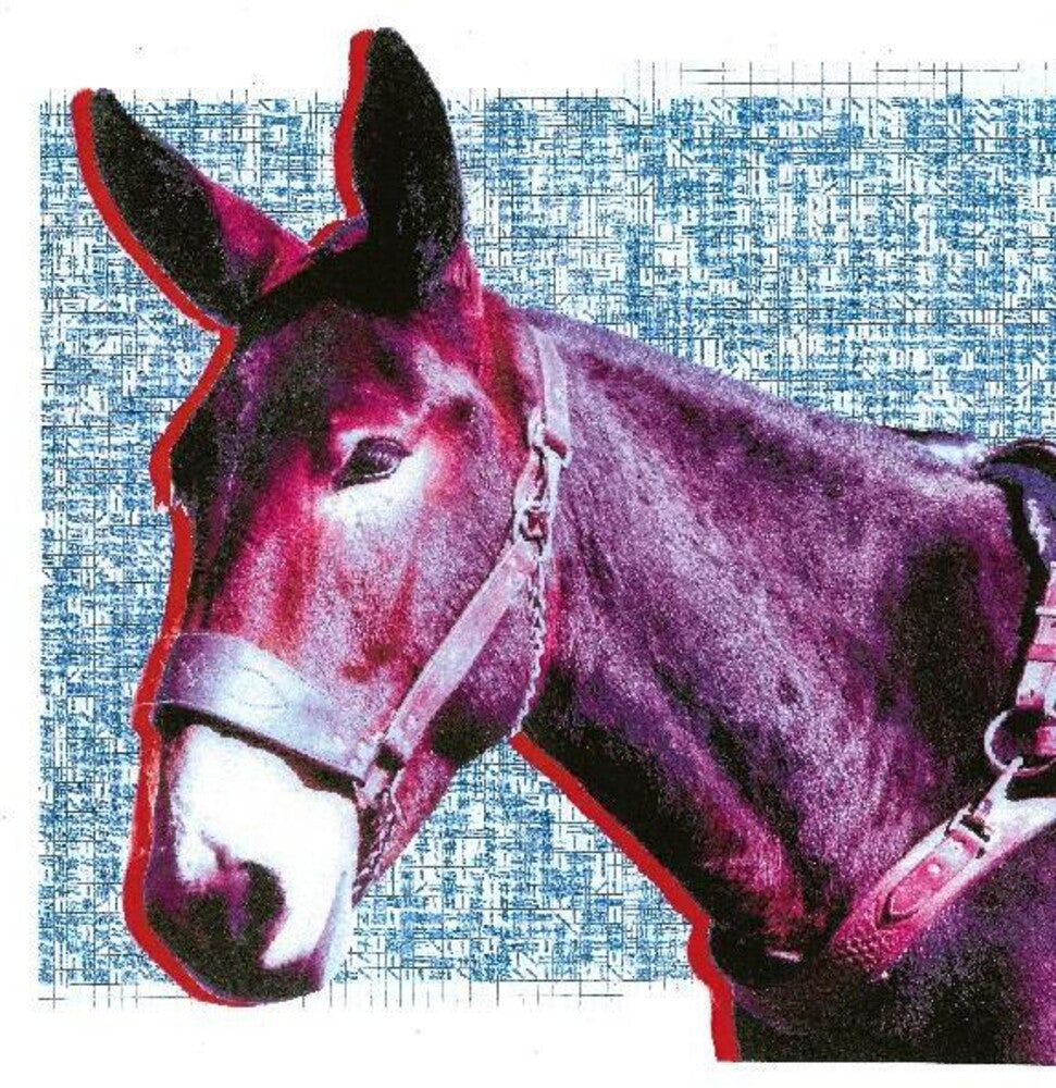 the album cover for Protomartyr - Ultimate Success Today [LP]