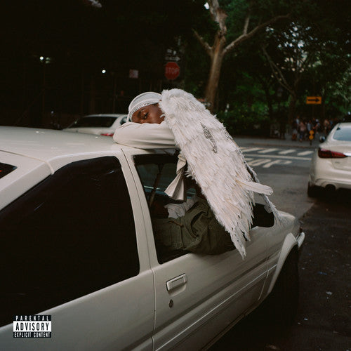 the album cover for Blood Orange - Negro Swan