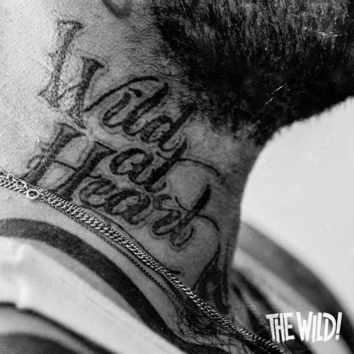 the album cover for Wild - Wild at Heart