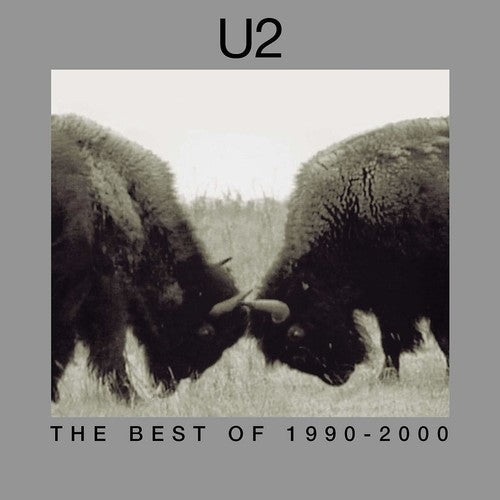 the album cover for U2 - The Best Of 1990-2000 [2LP]