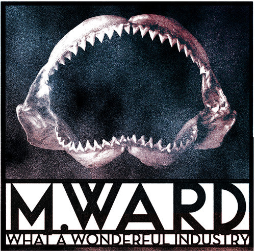 the album cover for M. Ward - What A Wonderful Industry [Limited Edition Clear LP]