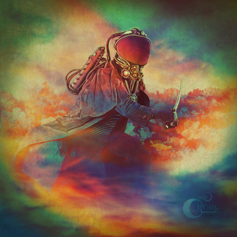 the album cover for Mr Gnome - The Day You Flew Away
