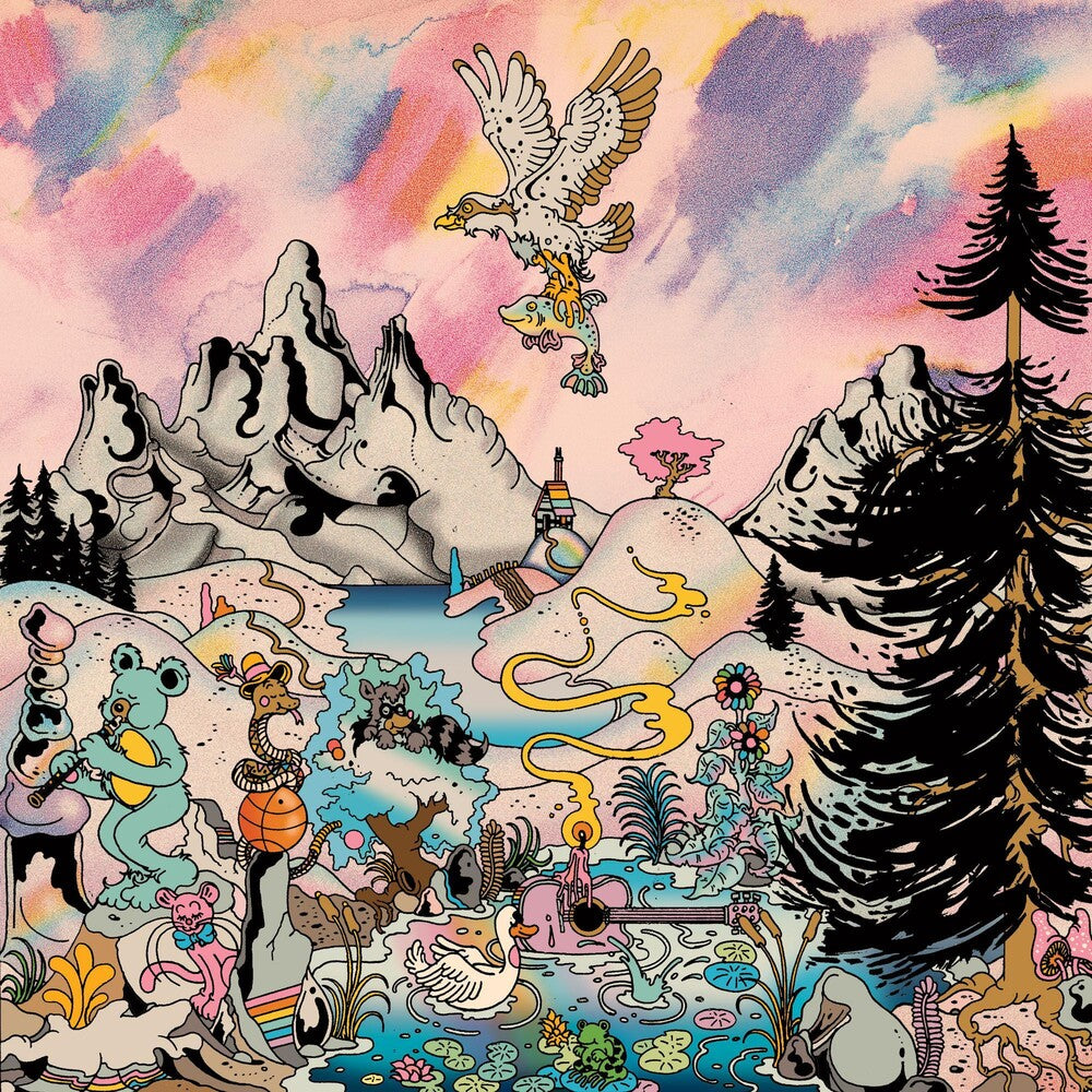 the album cover for North Americans - Roped In [LP]
