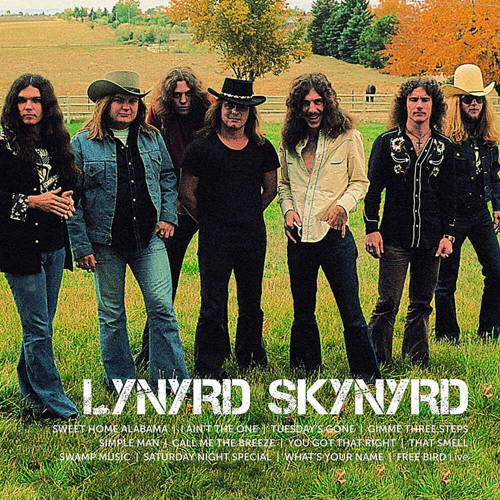 the album cover for Lynyrd Skynyrd - Icon [2LP]