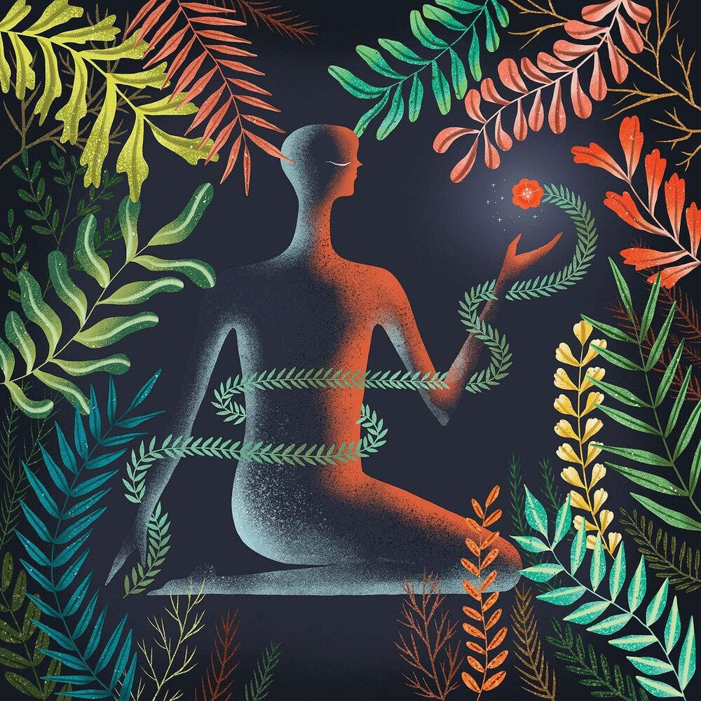 the album cover for Loma - Don't Shy Away [LP]