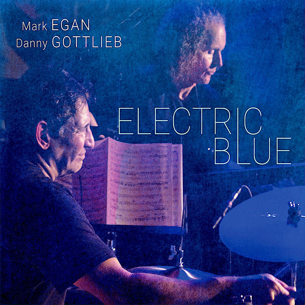 the album cover for Mark Egan / Gottlieb,Danny - Electric Blue [180 Gram]