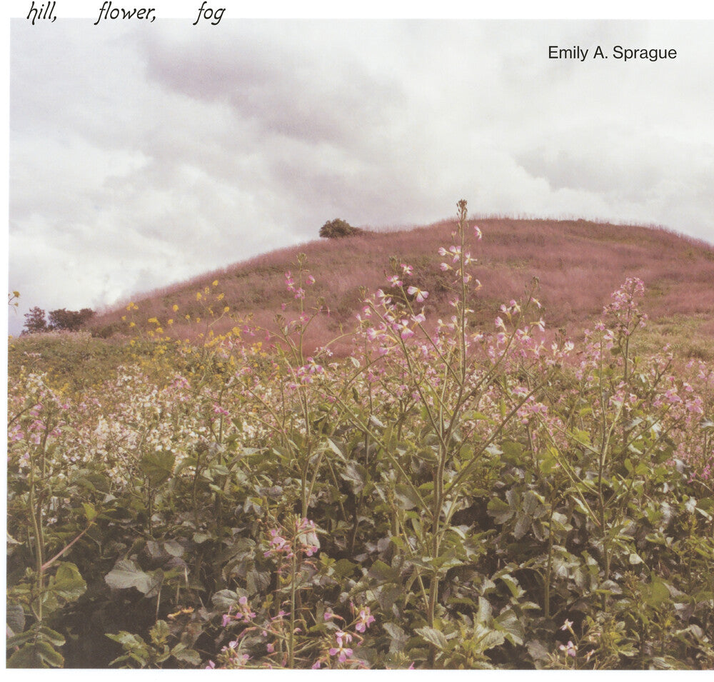 the album cover for Emily Sprague A - Hill, Flower, Fog