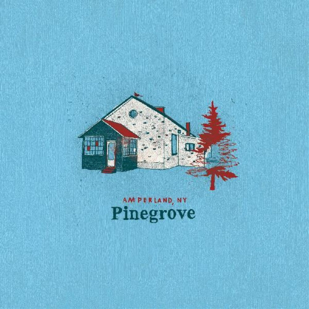 the album cover for Pinegrove - Amperland Ny