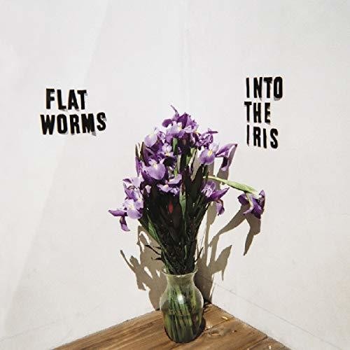 the album cover for Flatworms - Into The Iris