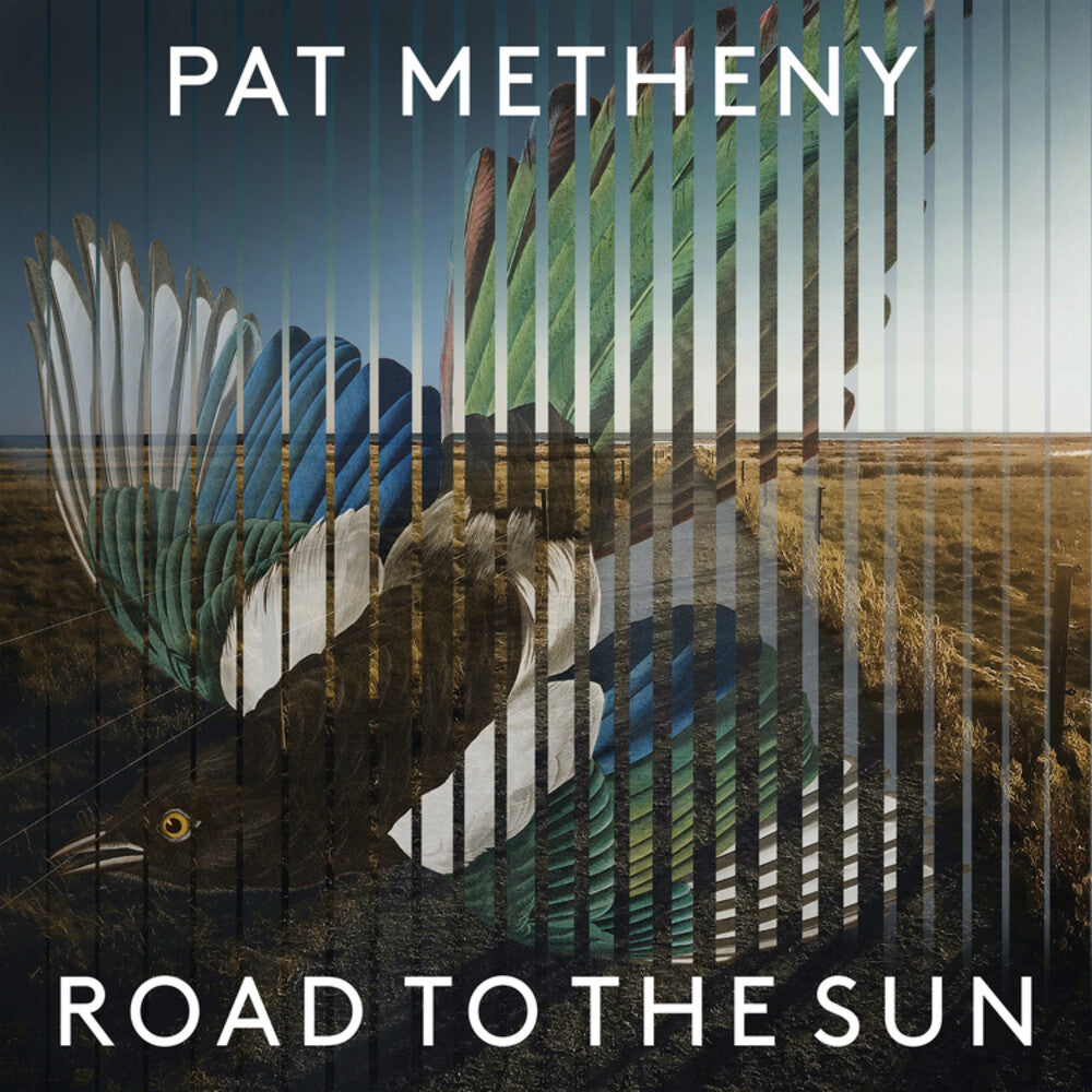 the album cover for Pat Metheny - Road to the Sun [2LP]