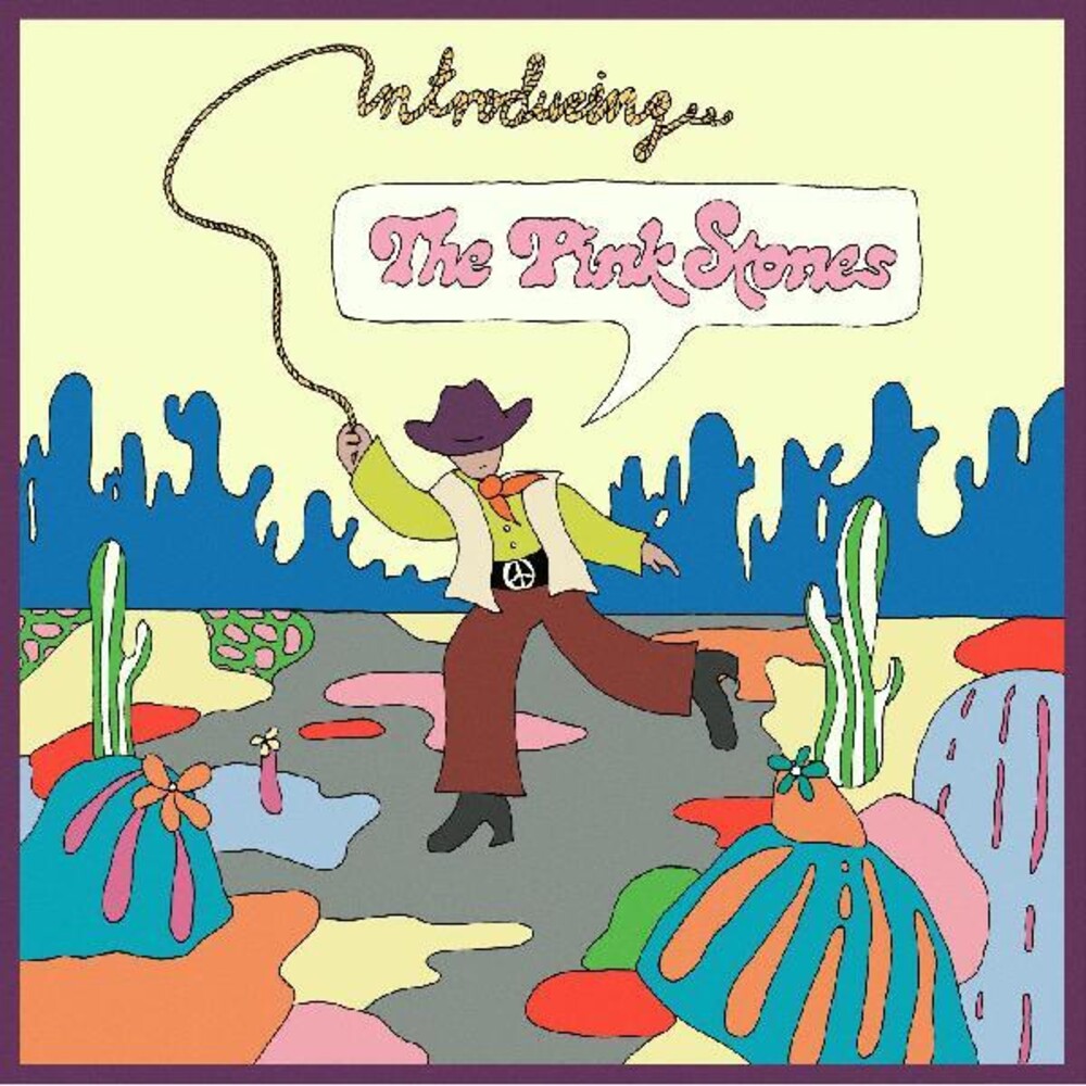 the album cover for The Pink Stones - Introducing...The Pink Stones [LP]