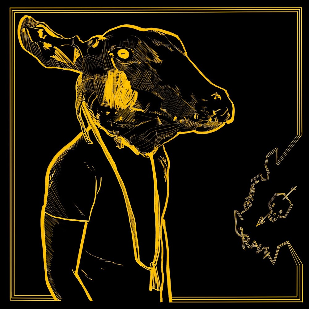 the album cover for Shakey Graves - Roll The Bones X [Gold & Black 2 LP]
