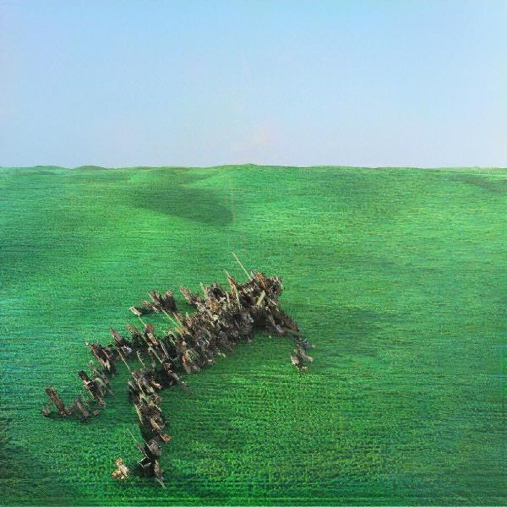the album cover for Squid - Bright Green Field [2LP]