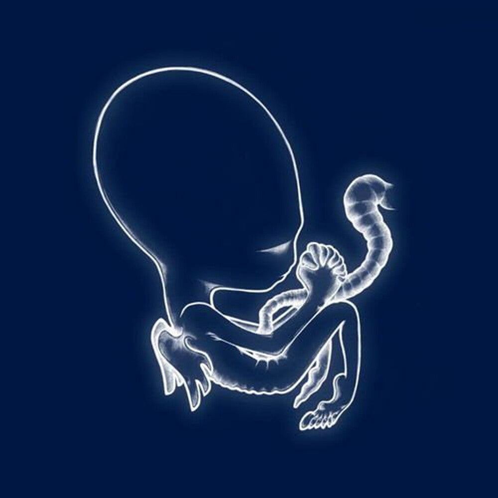 the album cover for Sigur Ros - Agaetis Byrjun