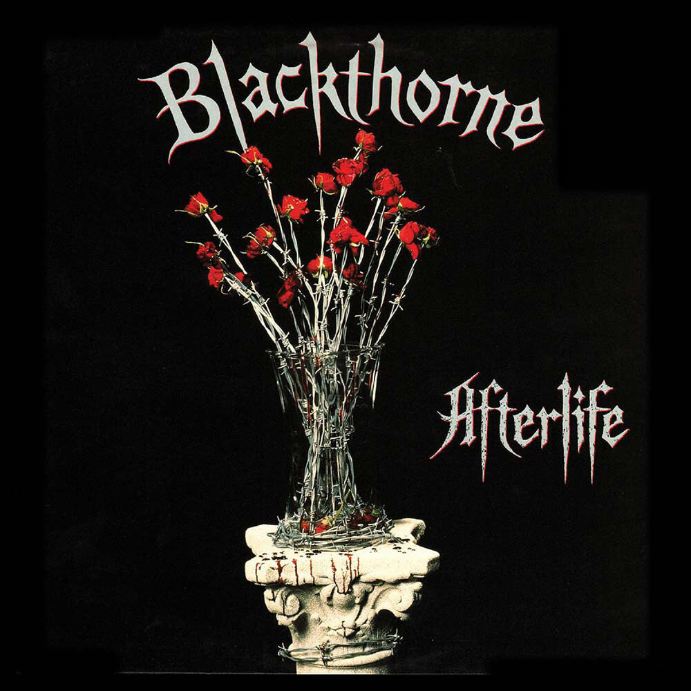 the album cover for Blackthorne - Afterlife (Bonus Track) (Gate) [180 Gram]