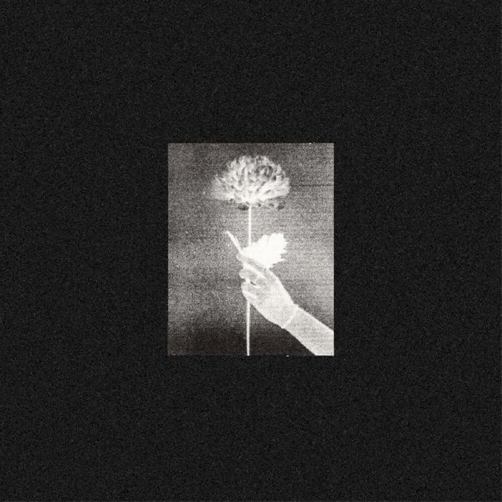 the album cover for White Flowers - Day By Day (Blue) [Colored Vinyl]