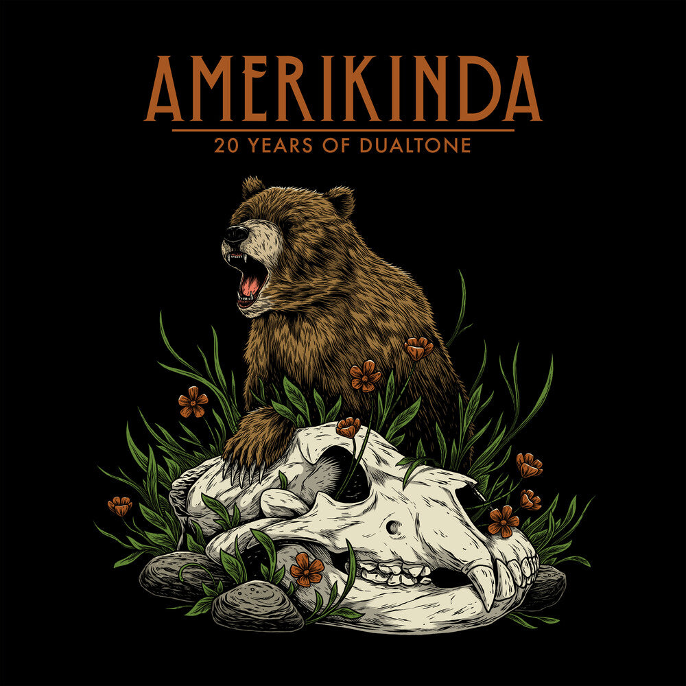 the album cover for Various Artists - Amerikinda: 20 Years Of Dualtone [2LP]
