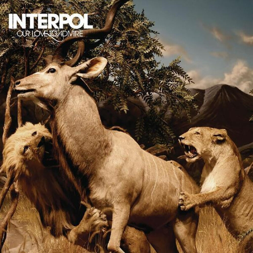 the album cover for Interpol - Our Love To Admire [LP]