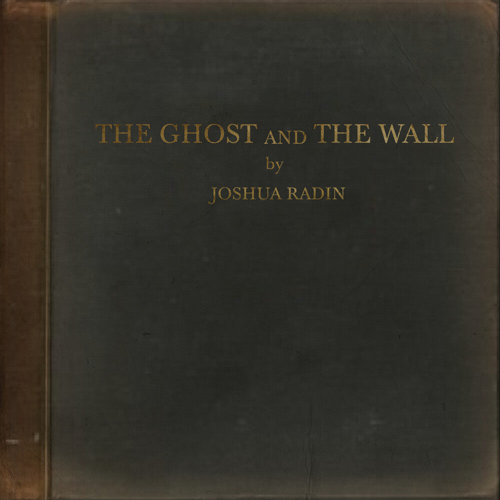 the album cover for Joshua Radin - The Ghost and the Wall [LP]