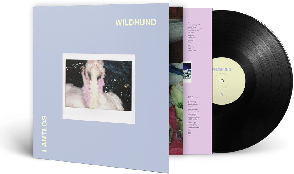 the album cover for Lantlos - Wildhund