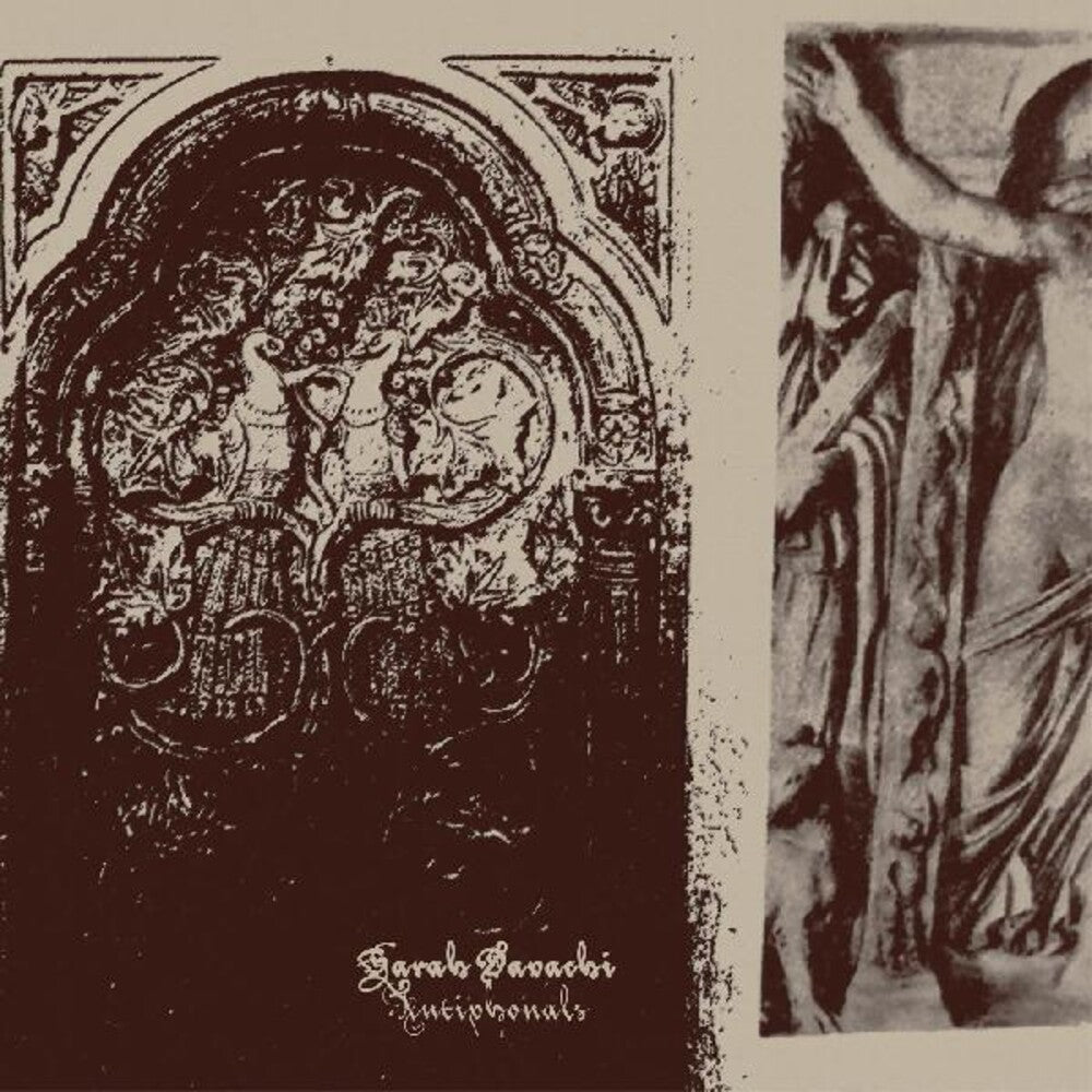 the album cover for Sarah Davachi - Antiphonals [Indie Exclusive Limited Edition Silver LP]