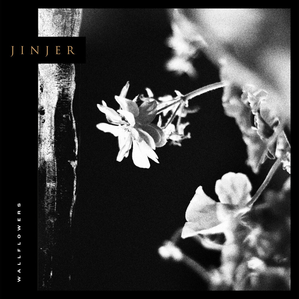 the album cover for Jinjer - Wallflowers [LP]