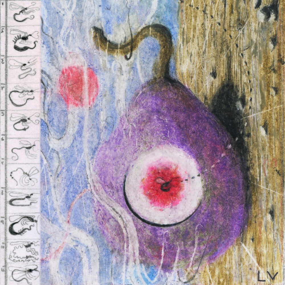 the album cover for Lunar Vacation - Inside Every Fig is a Dead Wasp [LP]